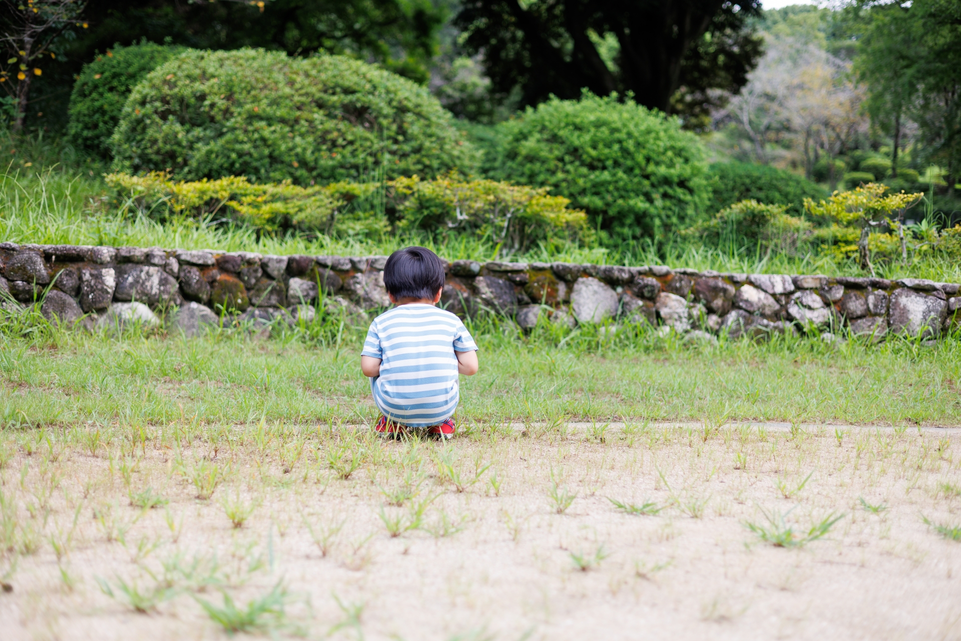 公園でしゃがむ子どもの後ろ姿